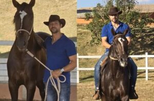 Ração contaminada mata mais de 240 cavalos em 4 estados, diz ministério