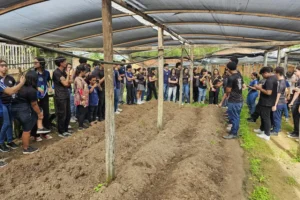 Escolas estaduais do Pará são semifinalistas em prêmio nacional de inovação e ciência