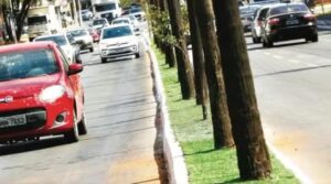 Prefeitura troca grama natural por sintética em espaços públicos e divide opiniões em Goiânia