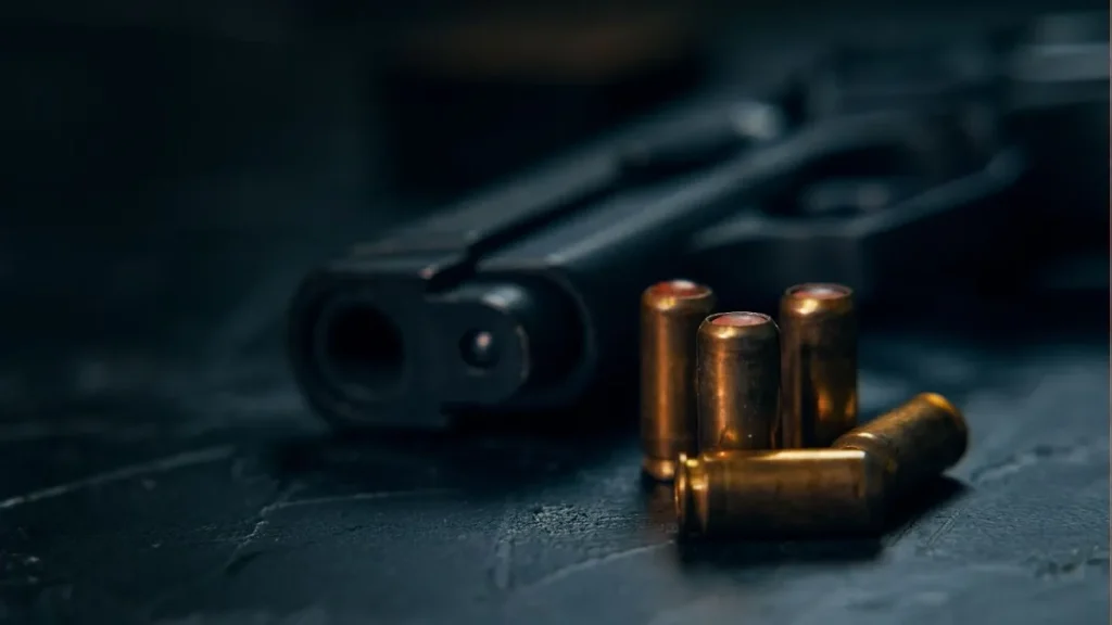 Bebê de um ano é morta em ataque a tiros dentro de casa em Marabá