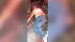 Tiros tiram a vida de uma mulher em um bar em Tucumã