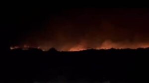 Incêndio em fazendas já destruiu 8 km de área no sul do Pará