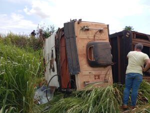Motorista morre após carreta com gado tombar na BR 155
