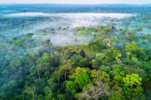 Lula veta 63 trechos de nova lei que muda regras de licenciamento ambiental