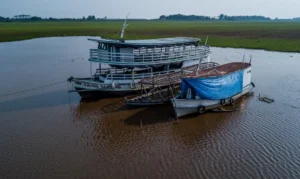 Rios da Amazônia estão secando, aponta Agência