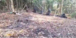 Polícia encontra ossadas humanas e destroços após queda de avião no Pará