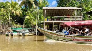 Turismo predatório tem transformado ilha preservada na cidade da COP 30