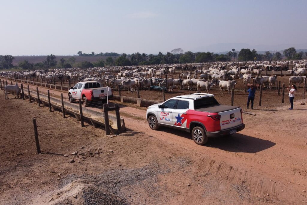 Adepará abre seleção para 58 vagas no estado; vagas para o sul do Pará
