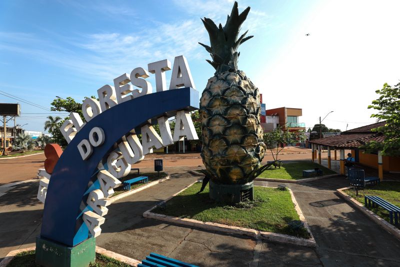 Policias Civis do Pará e Tocantins cumprem mandado de prisão preventiva em Floresta do Araguaia
