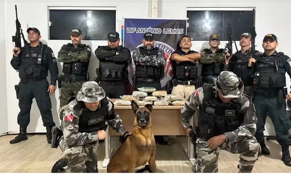 Cão farejador ajuda a encontrar mais de 11 kg de drogas escondidas em embarcação no Marajó