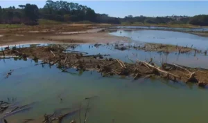 Reservatórios estão há 10 anos em seca; estiagem expõe ponto cego e encarece a conta de luz