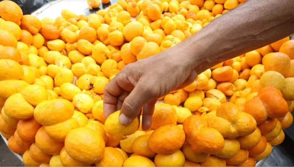 Pequi pode ajudar no tratamento de doenças nos rins e reduzir colesterol, apontam estudos