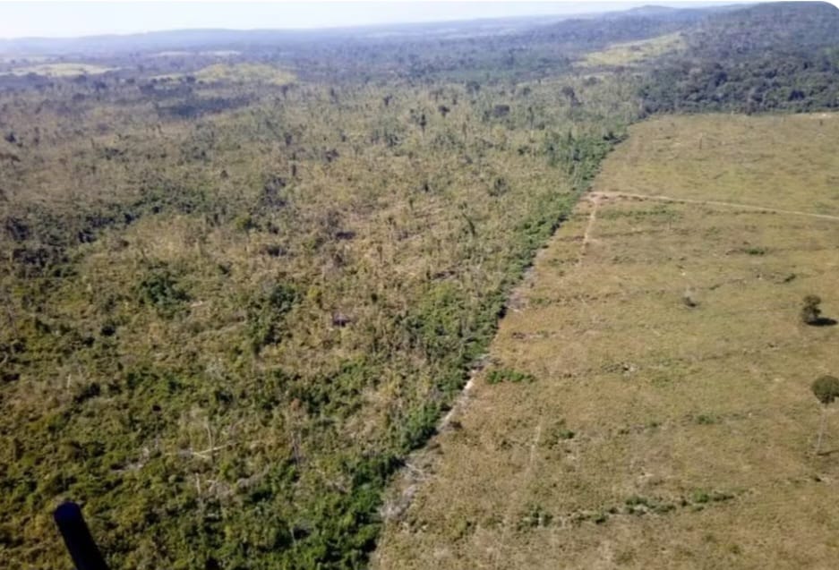 Por que preservar a Amazônia é importante para o clima do planeta?