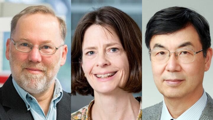 Trio leva Nobel de Medicina por descobertas sobre ‘células guardiãs’ do sistema imune