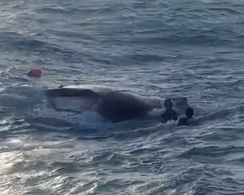 Marinha resgata cinco pescadores desaparecidos na costa do Pará