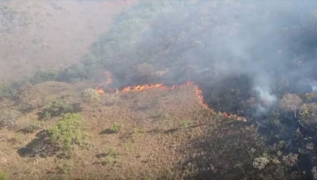 Incêndio destrói área da Chapada dos Veadeiros em Goiás