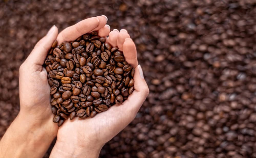 Trump retira tarifas de carne, café e outros produtos do Brasil