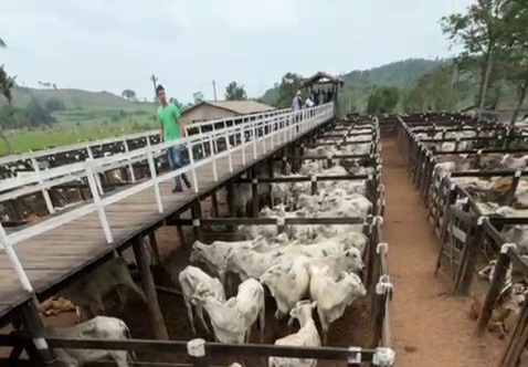 Leilão Direito de Viver em Tucumã arrecada mais de R$ 1,4 milhão para o Hospital de Amor