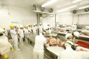 Canaã, Parauapebas, Marabá, Redenção e Ourilândia se destacam entre os maiores exportadores da região Norte