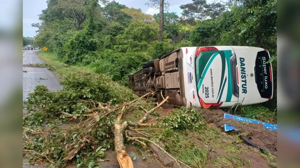 Ônibus que seguia de Goiânia para São Félix do Xingu tomba devido árvore na pista