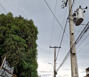 Árvores bem cuidadas ajudam a evitar interrupção no fornecimento de energia e garantem mais segurança nas cidades