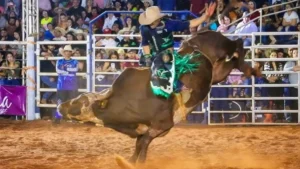 Expo Conceição abre circuito de feiras agropecuárias no sul do Pará
