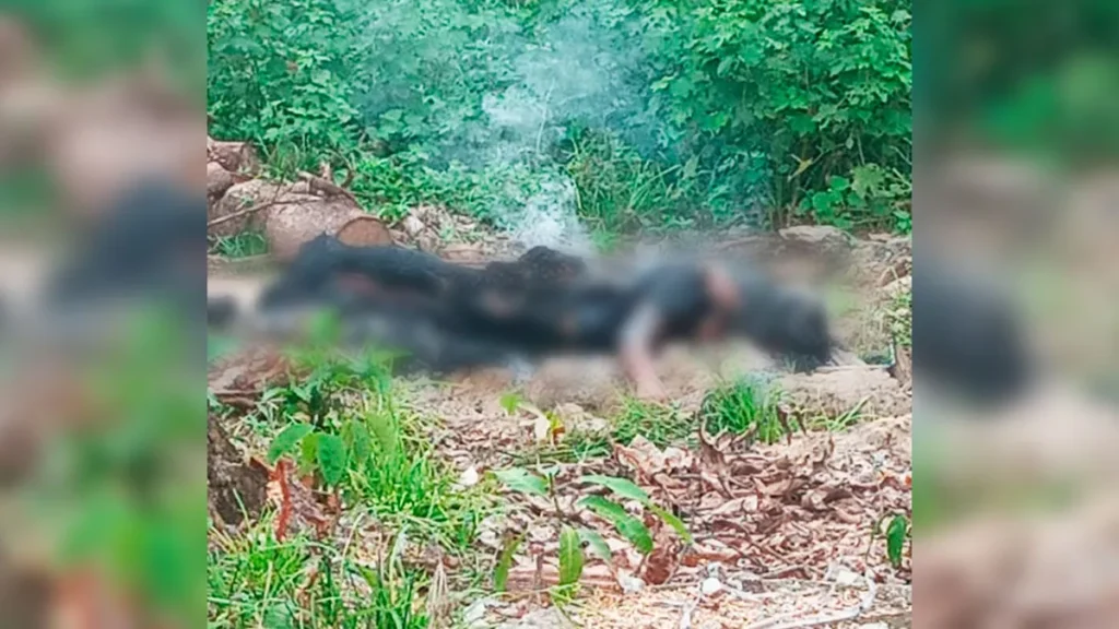 Corpo de mulher é encontrado em chamas e suspeito é preso em Jacundá