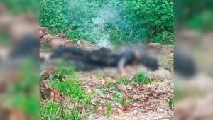 Corpo de mulher é encontrado em chamas e suspeito é preso em Jacundá