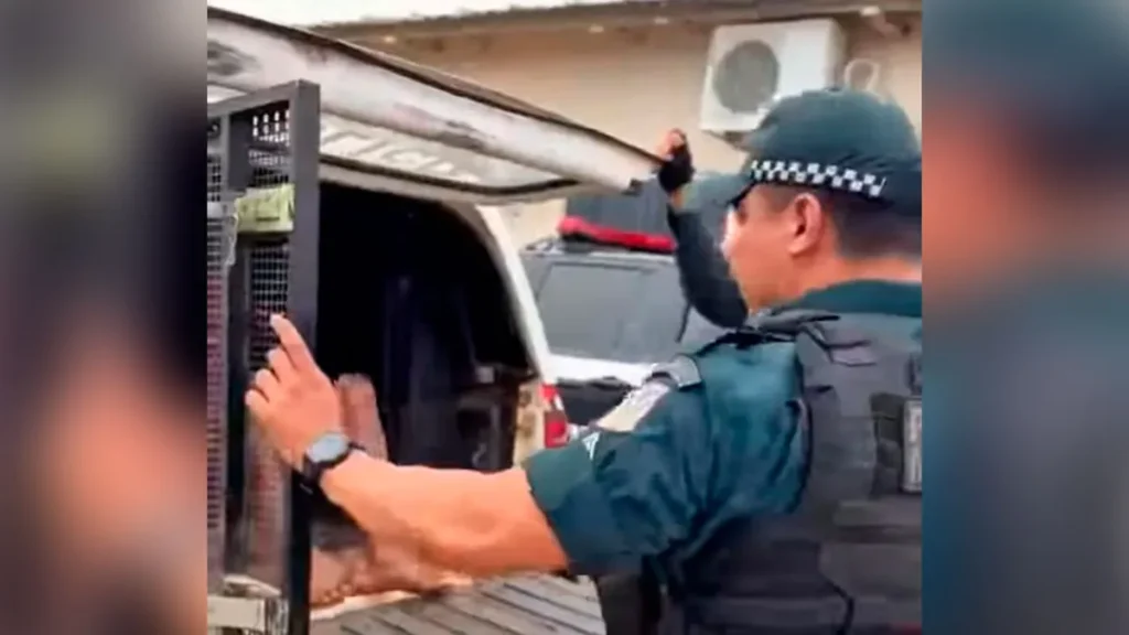 Homem usa cabo de vassoura para matar esposa em Tucumã