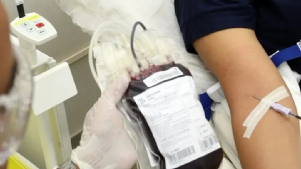 Cidades do sul do Pará fazem mutirões para incentivar doação de sangue