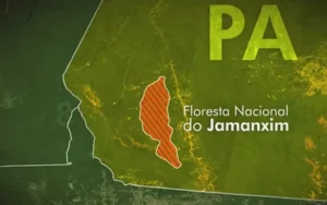 Homem fica ferido durante operação contra garimpo ilegal em floresta nacional no Pará