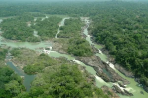 Senado aprova proposta que reduz em quase 40% de floresta no Pará e dificulta multas ambientais
