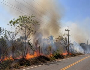 Queimadas já provocaram 720 ocorrências com a rede elétrica no Pará em 2026