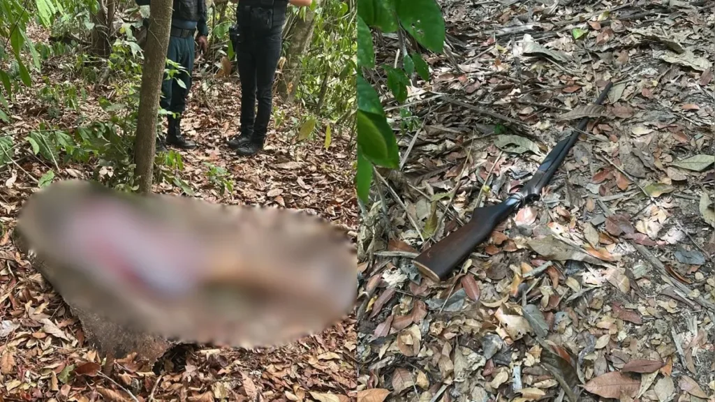 Idosa de 79 anos morre após disparo acidental de espingarda na zona rural de Itupiranga
