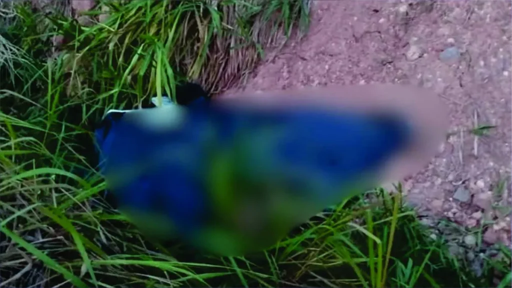 Corpo de homem desaparecido é localizado na BR-155