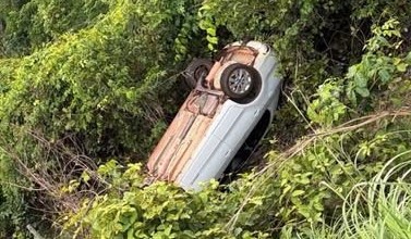 Carro bate em boi e capota na BR 158